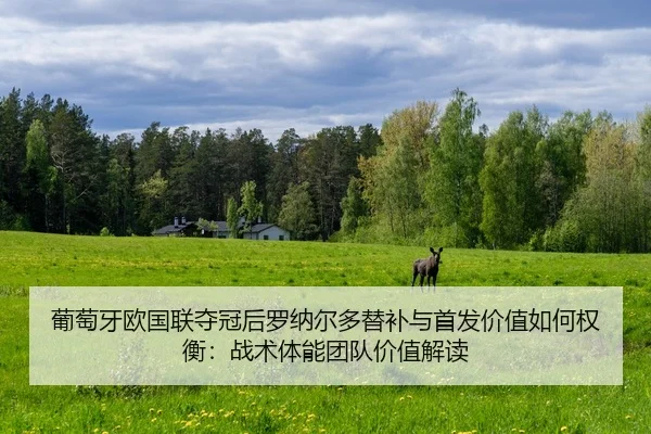 葡萄牙欧国联夺冠后罗纳尔多替补与首发价值如何权衡：战术体能团队价值解读